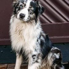 csm_GH_Felix_7cbac20892 2