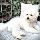 csm_QBAP76182_77abf9e943